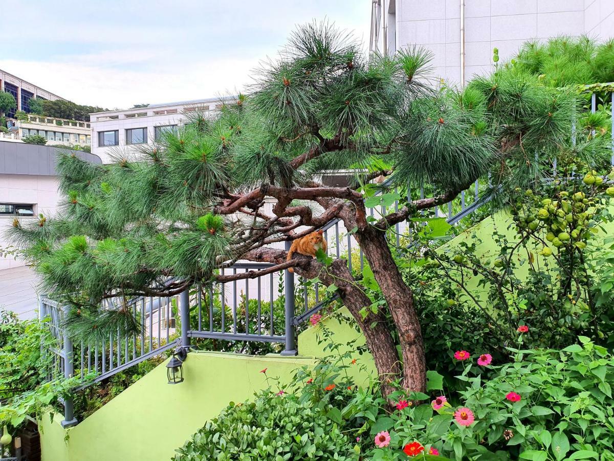 Happy Garden Guesthouse Seoul Exterior foto